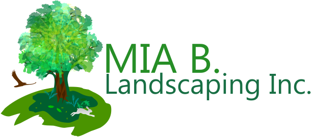 MIA B LANDSCAPING